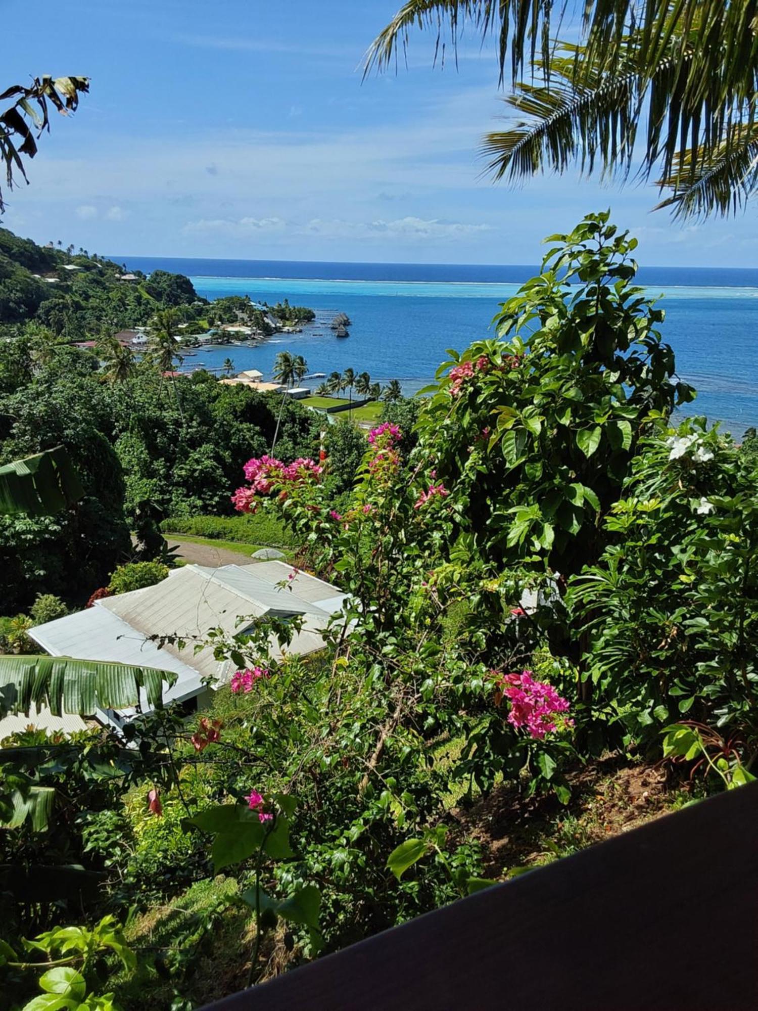 Bed and Breakfast Faré Mahi Mahi Uturoa Exterior foto